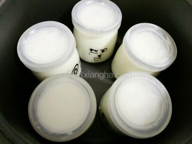 盖好盖放入电饭锅中密封存放6个小时即可（此时的电饭锅是不用插电的，我放在电饭锅是因为密封性好，可以让牛奶瓶一直恒温，做出来的酸奶效果好，切记电饭锅不用插电哈，你也可以放在任何一个密封的地方，保证瓶子的恒温时间长一些都是可以的）