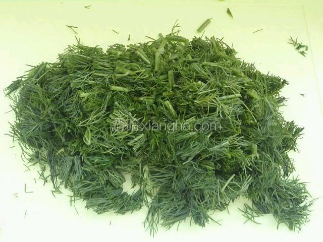 茴香洗净切寸段