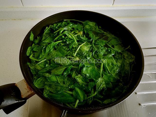 锅中放水烧开，加少许盐和几滴油，放入菠菜氽烫后捞出。