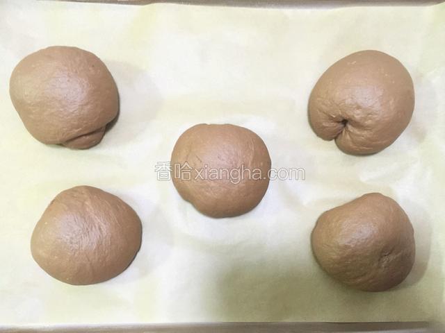 放至温暖湿润的地方进行最后发酵，发酵至原来的两倍大。（我一般是放在烤箱里进行发酵，放一碗热水制造温暖湿润的环境。基础发酵也可以采用这种方法）