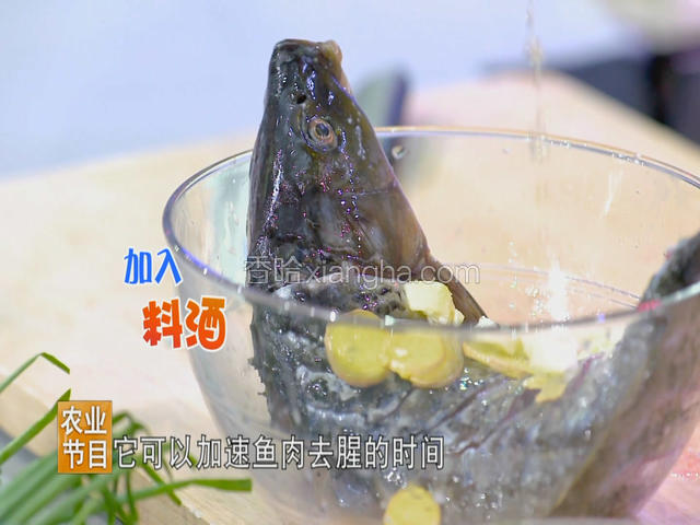 将盐撒在鱼身上，揉搓均匀，加入葱段、姜片、料酒腌制去腥