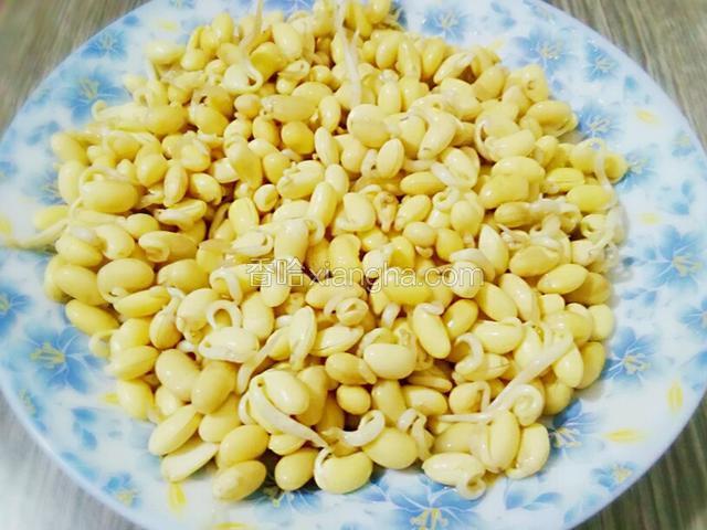 黄豆芽洗净沥干水备用
