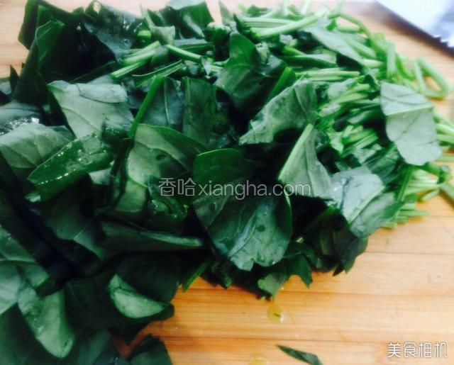 控干水份把菠菜切段