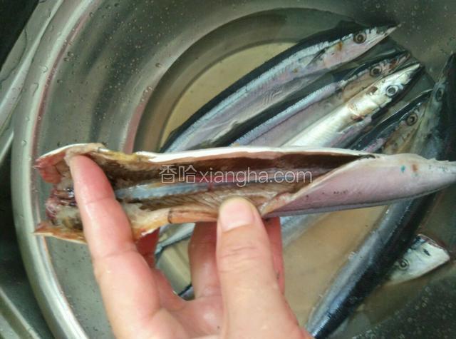 用剪刀从腹尾处开剪至鱼腮处，把头剪掉，鱼头没啥好吃的，直接扔了，省得浪费油盐还占地方。