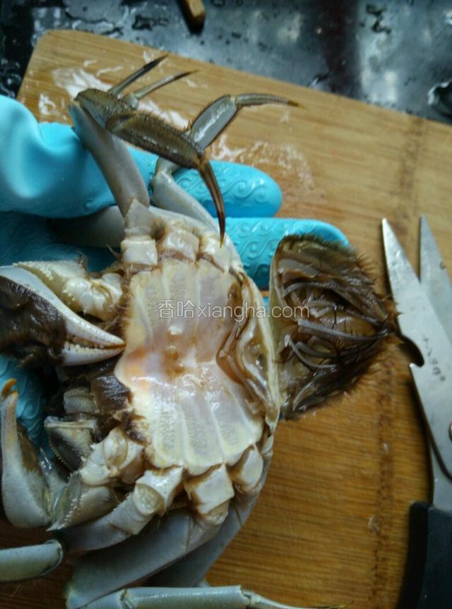 再翻过来把腹部三角盖剪掉。冲洗干净。