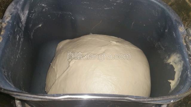 继续揉10分钟后从新开始发面程序，这样可以确保揉出手套膜
