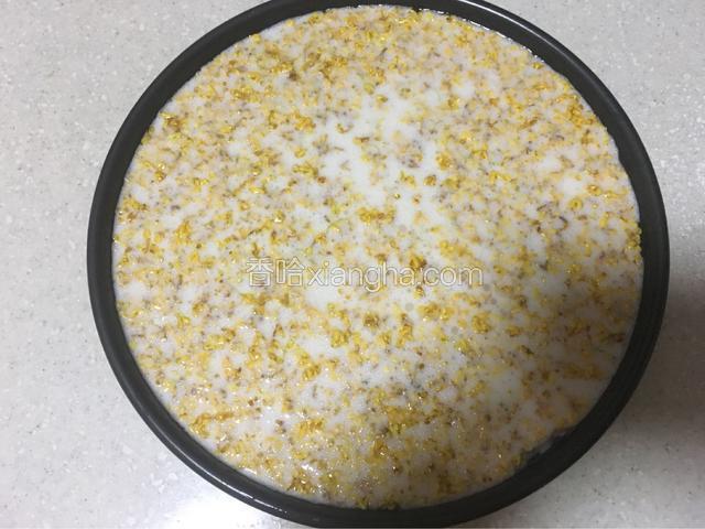 把面糊倒入批萨盘，并盖上保鲜膜，防止蒸汽水滴入，