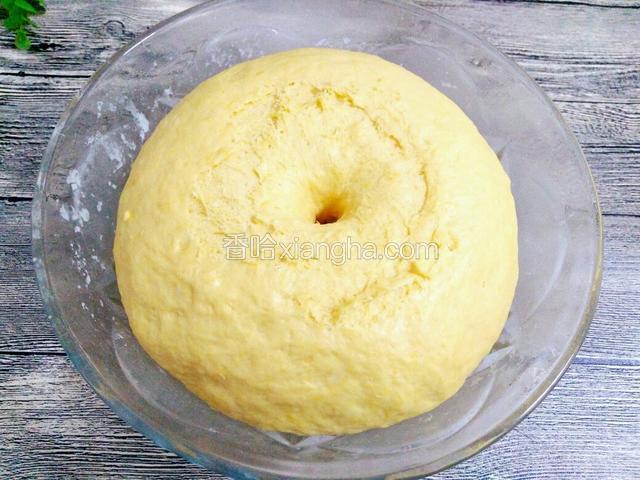 发酵至两倍大后，用手指在中间戳一个洞，注意观察面团，不回缩就是发酵好了