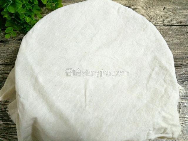 盖上一块干净的布，也可以用保鲜膜，静置发酵