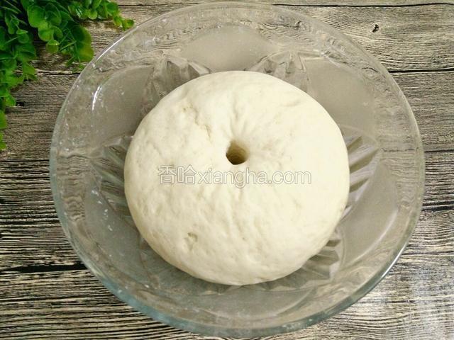 面团发酵至两倍大，手指在面团中间戳一个洞，周围面团不回缩，就是发酵好了