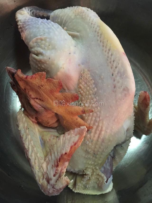 养殖鸡洗净，尤其是鸡嘴里和鸡腔内洗净，脖子附近的淋巴摘除干净。