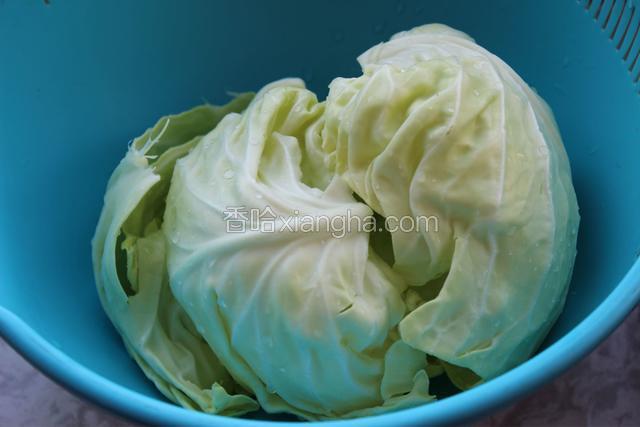 卷心菜洗干净
