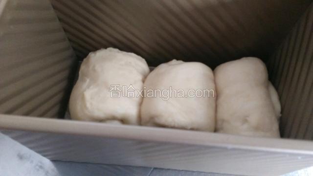 依次把三个卷好的面团放入模具中