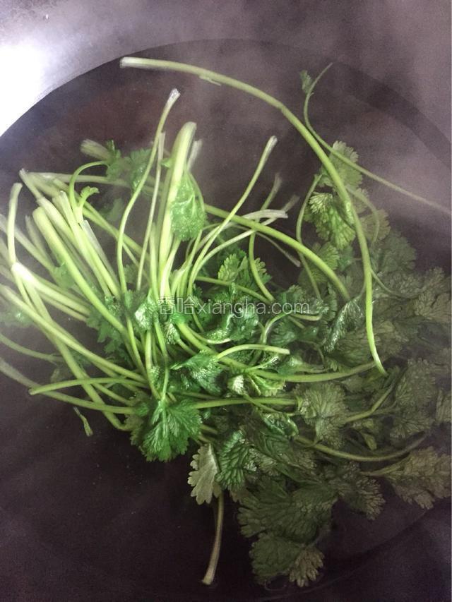 香菜也烫一下。