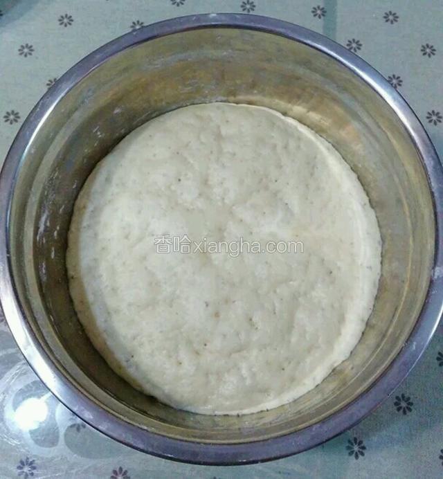 揉好的面团盖保鲜膜发酵至两倍以上大呈蜂窝状（我都是晚上揉面，第二天早上做的，冬天常温发酵，夏天冷藏发酵）。
