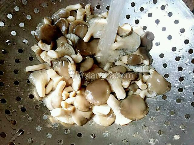 拿一漏勺把蘑菇捞出，对着水龙头过凉，然后，把蘑菇里的水分用手挤干备用。