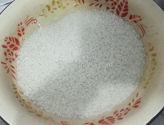 糯米洗干净，用清水浸泡一个小时以上