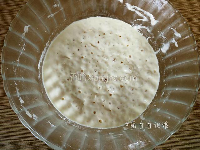 发酵至原来两到三倍大，表面有无数气孔，膨胀到最高点后又回落，且扒开内部呈拔丝状态即可。
发酵时间根据温度决定，像现在室温低于十度的情况下室温发8-10个小时左右，时间不是固定的，主要看状态。