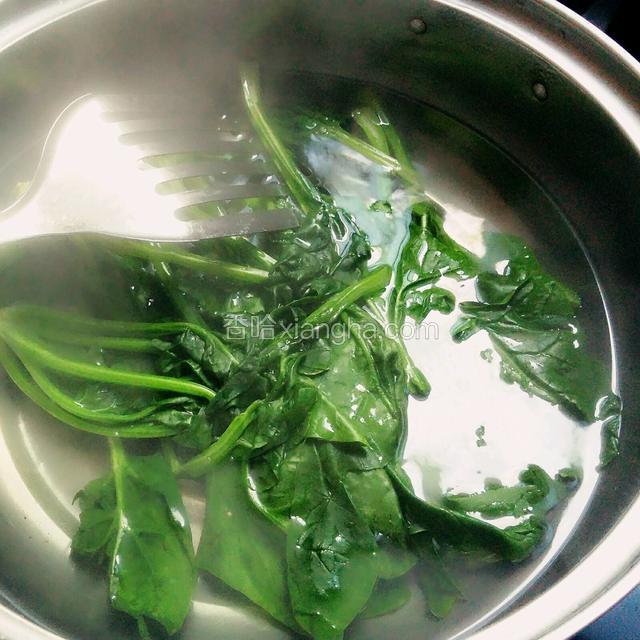 再将菠菜入开水烫一下