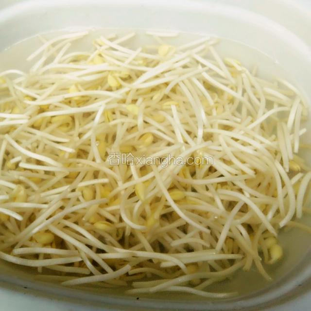 黄豆芽清洗干净控干水