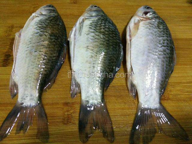 鲫鱼去鳞去鳃，破鱼肚打理干净，洗干净沥干水备用