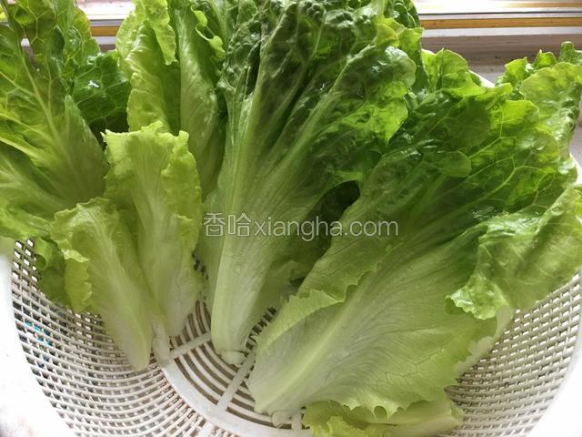 把生菜浸泡洗净沥干水