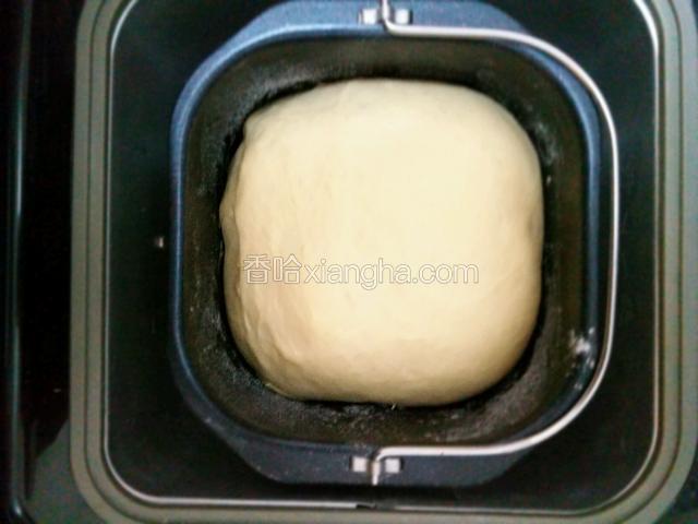 面和好后不用取出，直接在面包机里面常温发酵，发至原面团的2倍大。