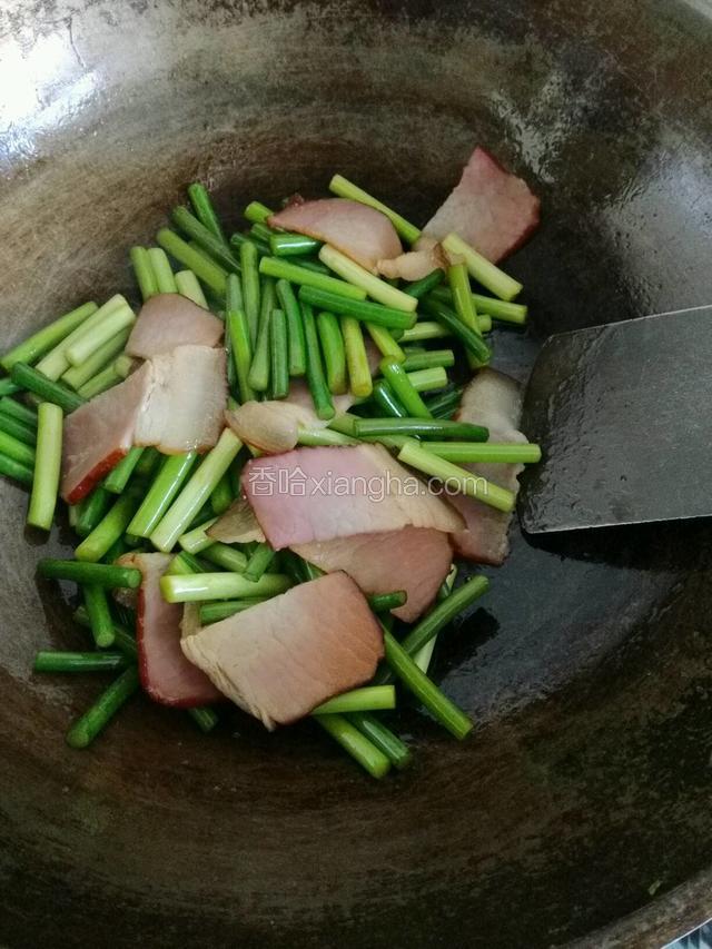 锅内倒入花生油，干红辣椒姜末炝锅，放入腊肉，蒜薹，大火翻炒；蒜薹变软后，加入生抽、盐继续翻炒；