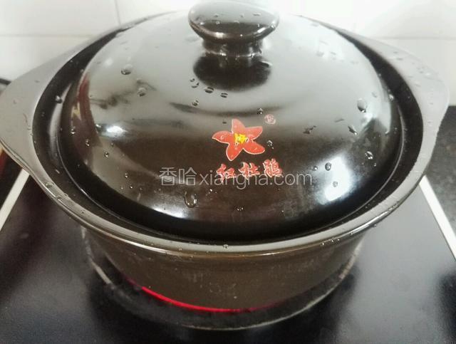 盖上锅盖，大火煮开转中小火慢炖一小时（煮制过程鸭子收汁，可以适量再加水）
