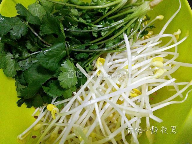 豆芽香菜洗干净备用（买五毛钱豆芽就可以了）