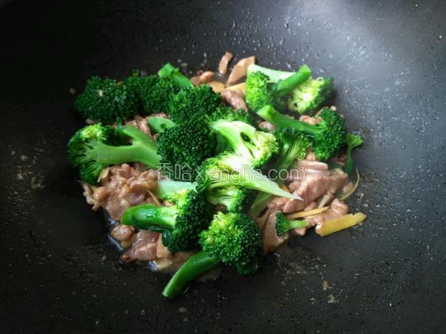 之后再将西兰花下锅，下葱花，盐少量。
