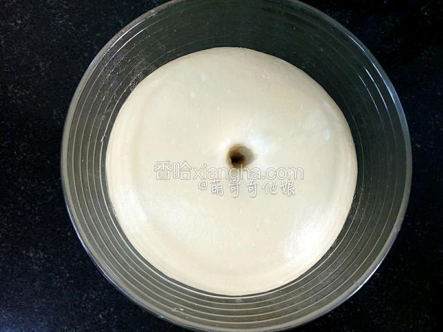 发酵至两倍大，手指沾水或干粉探入不回缩不塌陷即发酵完成。