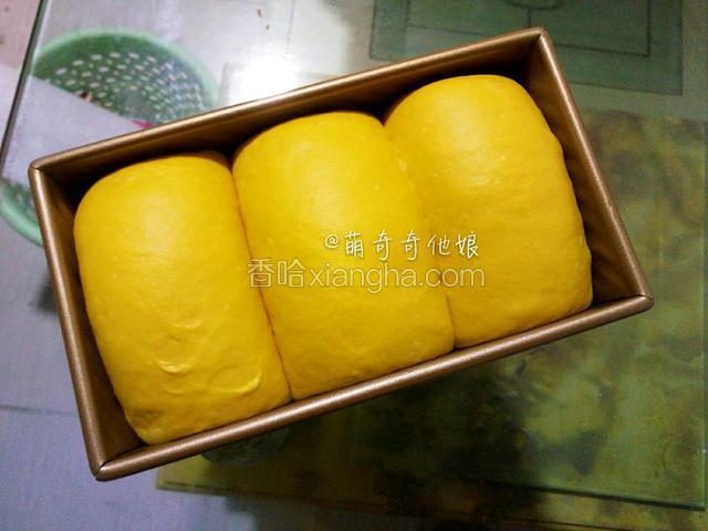 放入烤箱，底部放一碗热水，在温度为37度，湿度为75%的环境中进行二次发酵。
发酵至8.9分满取出，烤箱预热180度。