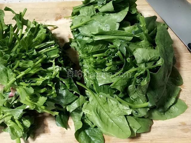 将菠菜清洗干净从中间切断。