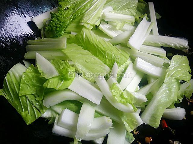 下白菜块，暂时别放叶子。