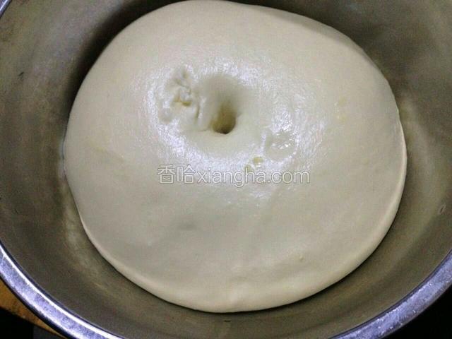 发酵好了
