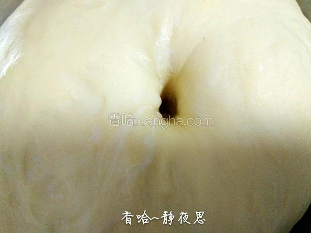 发酵好的面团用手指戳一个洞，看周围面团不回缩就是发酵好了