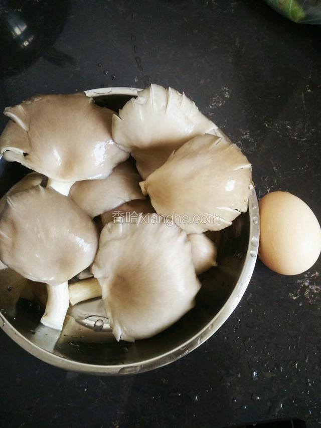 平菇去蒂洗净