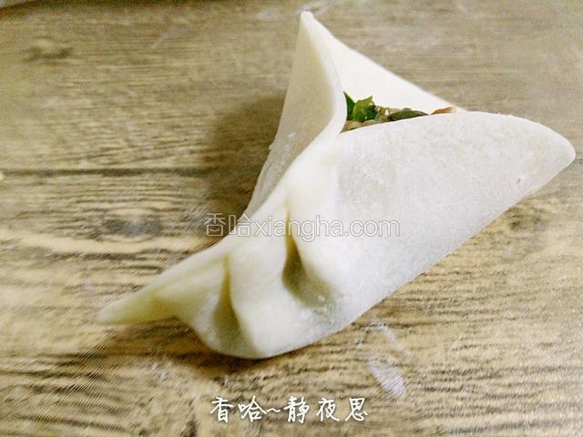 后面褶皱图