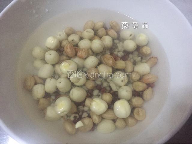 莲子、花生、红豆、薏米洗干净浸泡8个小时以上。
