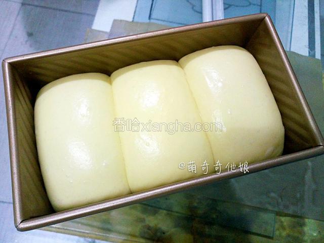 在温度为37℃湿度为70%的环境中发酵至7-8分满，并盖上土司盖。
可以放烤箱中层或上层，底部放一烤盘热水进行发酵。