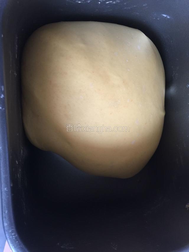 发至二倍大，取出排气后松弛十分钟。