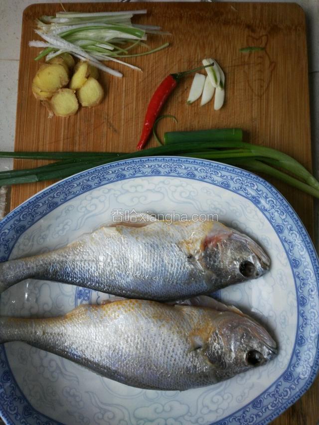 黄鱼洗干净放一点盐先腌制一下（半个至1个小时），洗干净放盆里，小葱洗干净切段，姜切片，大蒜切片，大葱切丝，小红辣椒去籽切小段