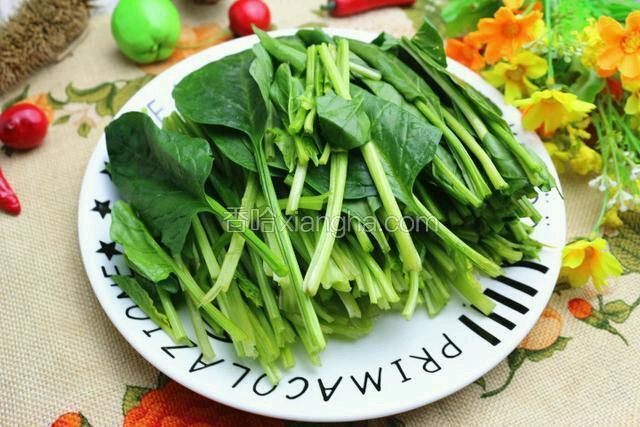 菠菜去根洗净备用。