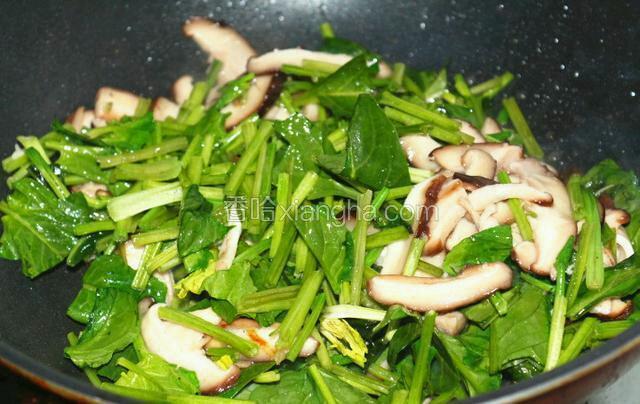 菠菜入锅翻炒均匀，放入少许盐。