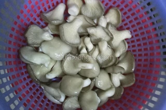 准备食材，秀珍菇提前用盐水泡15分钟，然后洗净控水。
