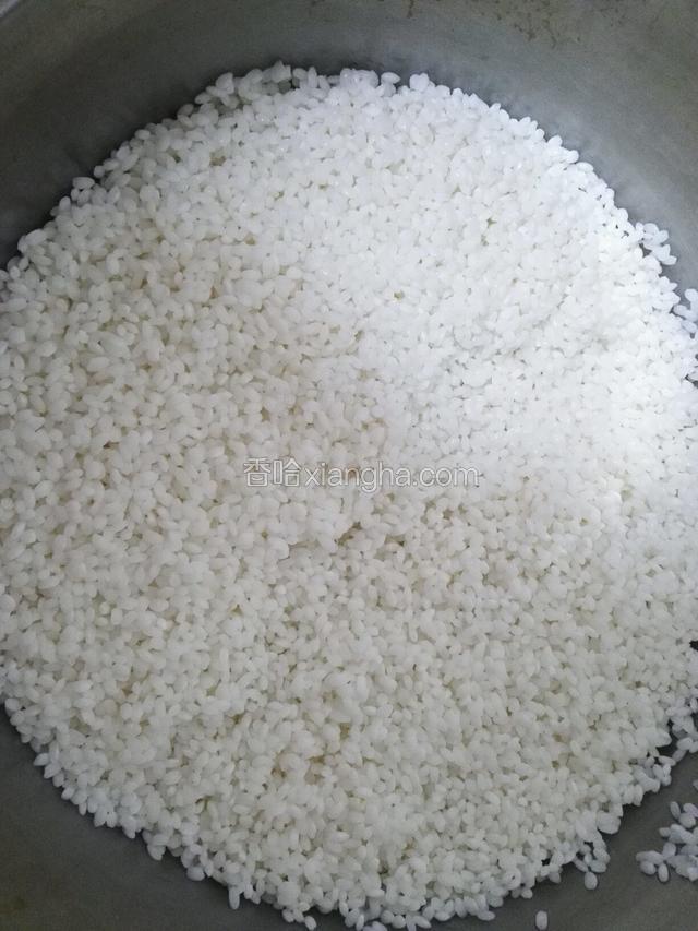 糯米加入足够的冷水泡12小时