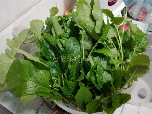 将鲜蒲公英洗净～