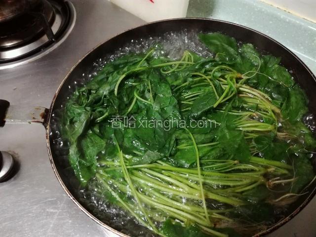 锅里烧适量开水把蒲公英焯熟捞起～