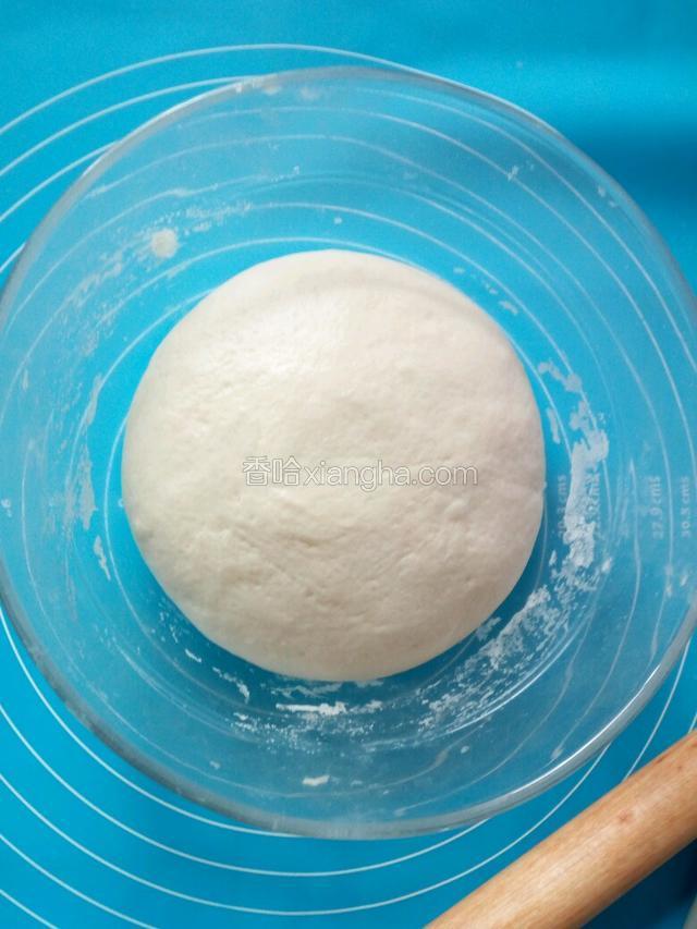 发酵至两倍大拿出，揉面排气。